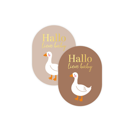 Sticker | Hallo Lieve Baby Goose | 4 stuks