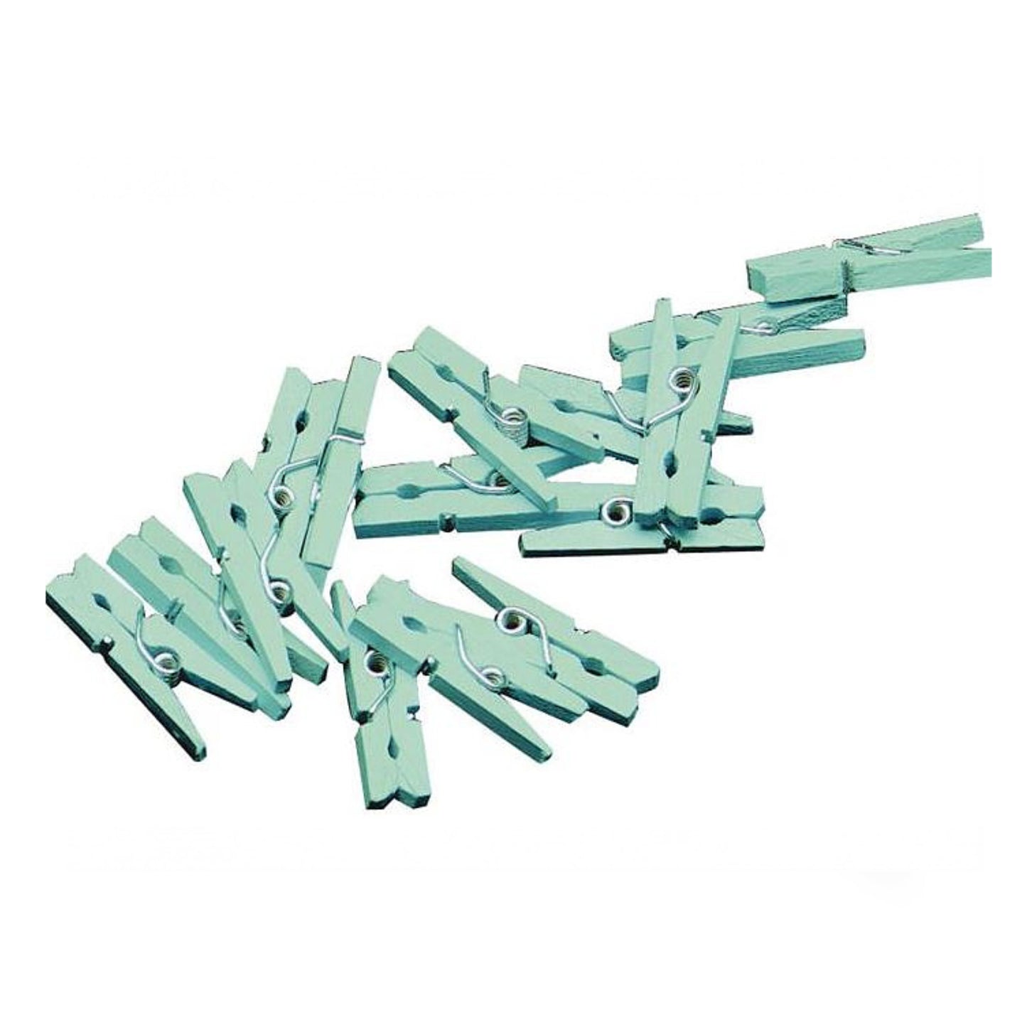 Mini Knijper | Mint | 4 stuks