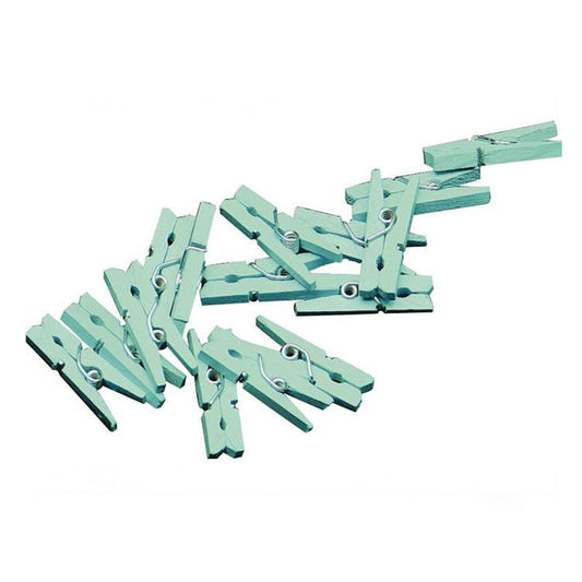 Mini Knijper | Mint | 4 stuks