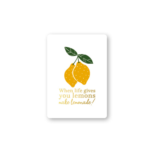 When Life Gives You Lemons Make Lemonade | Mini